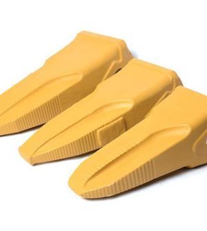 BUCKET TEETH